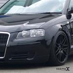 Audi A3 Typ 8P